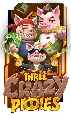 Three Crazy Piggies